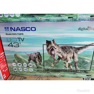 Nasco 43 Inches Satellite Digital Televisions