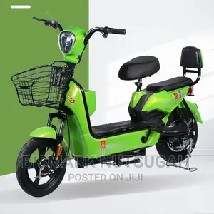 Electric Bike For Sale