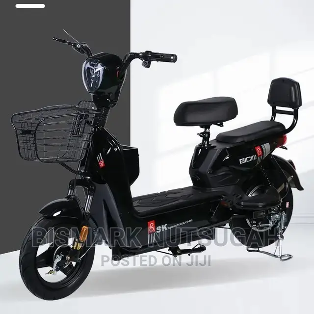 Electric Bike For Sale
