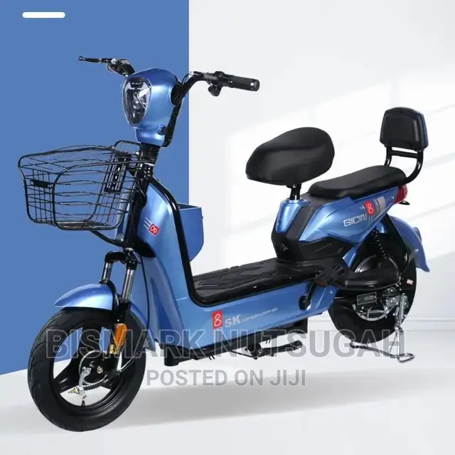 Electric Bike For Sale
