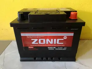 13plates Battery