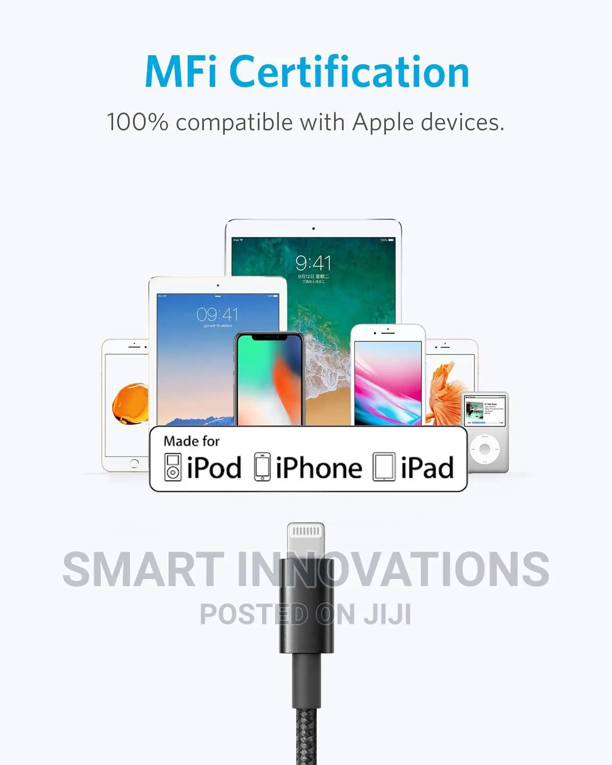 Anker Usb-a to Lightning Cable (1m)