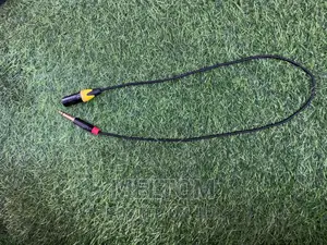 Jack-to-Cannon Cable