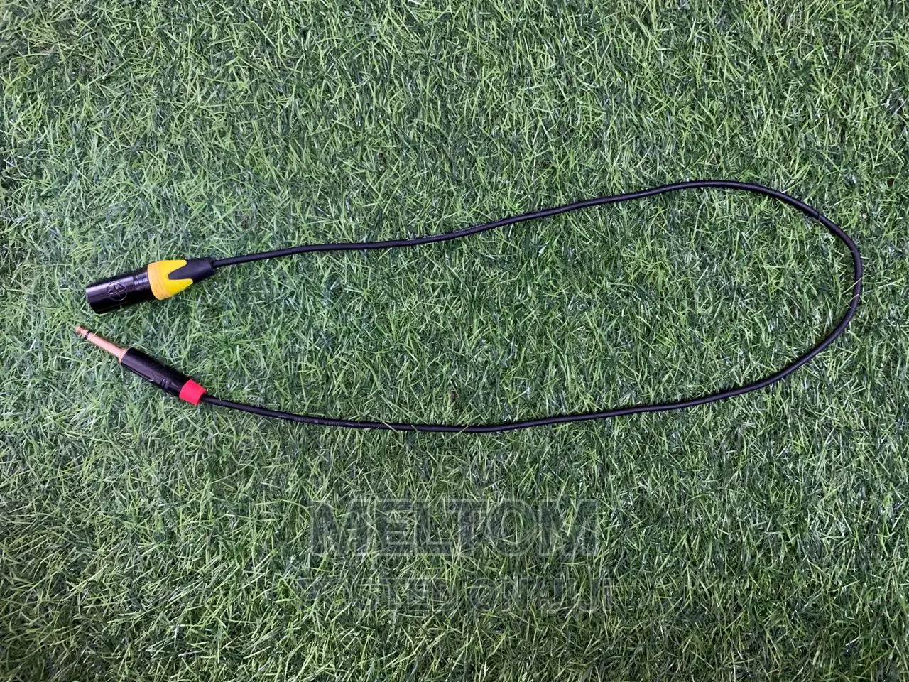 Jack-to-Cannon Cable