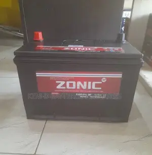 17 Plates Zonic Battery