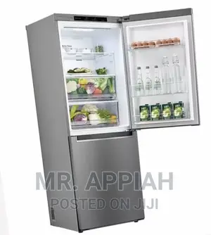 Original LG 355L Double Door Refrigerator GC-B399NLJM 