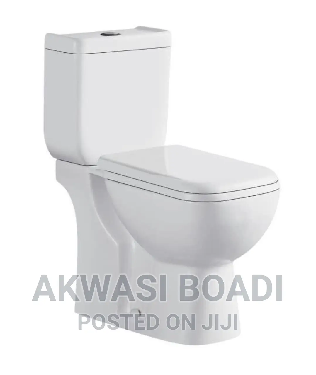 Water Closets in Accra Metropolitan Plumbing & Water Supply, Akwasi