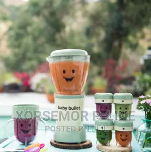 Baby Bullet Blender