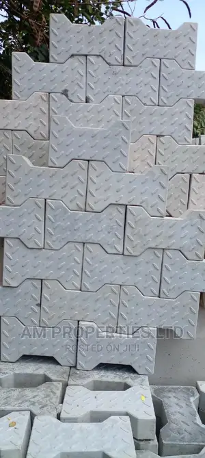 Interlocking Pavement Blocks