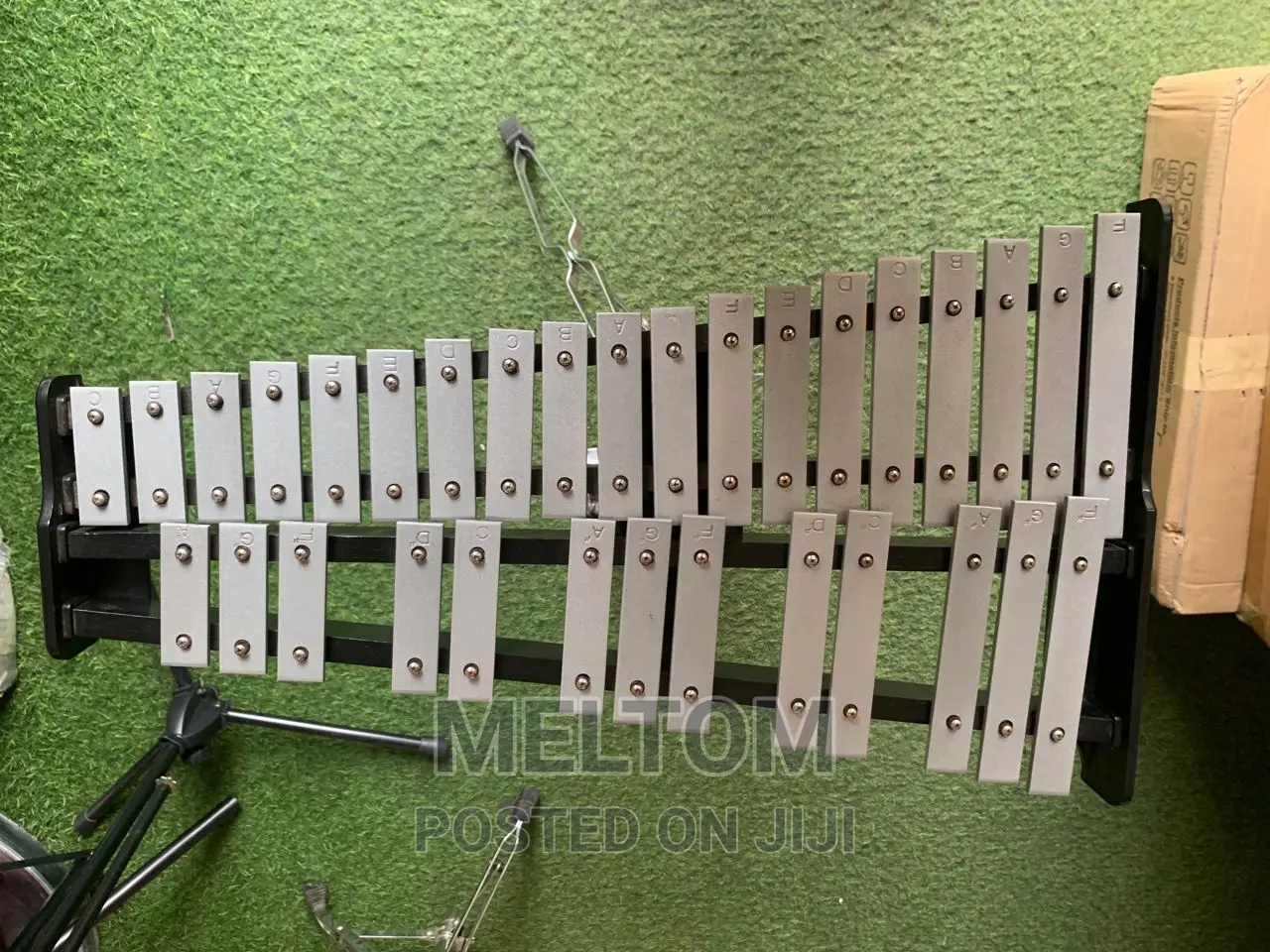 Glockenspiel Xylophone