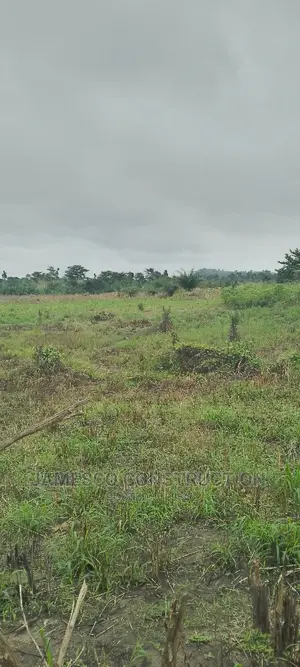 Registered Farmland for Sale