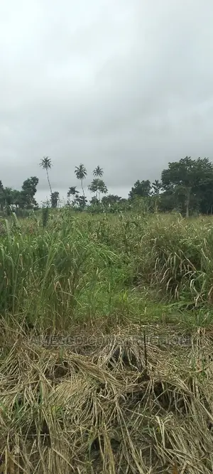 Registered Farmland for Sale