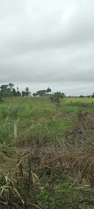 Registered Farmland for Sale