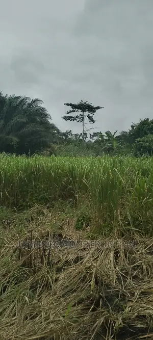 Registered Farmland for Sale
