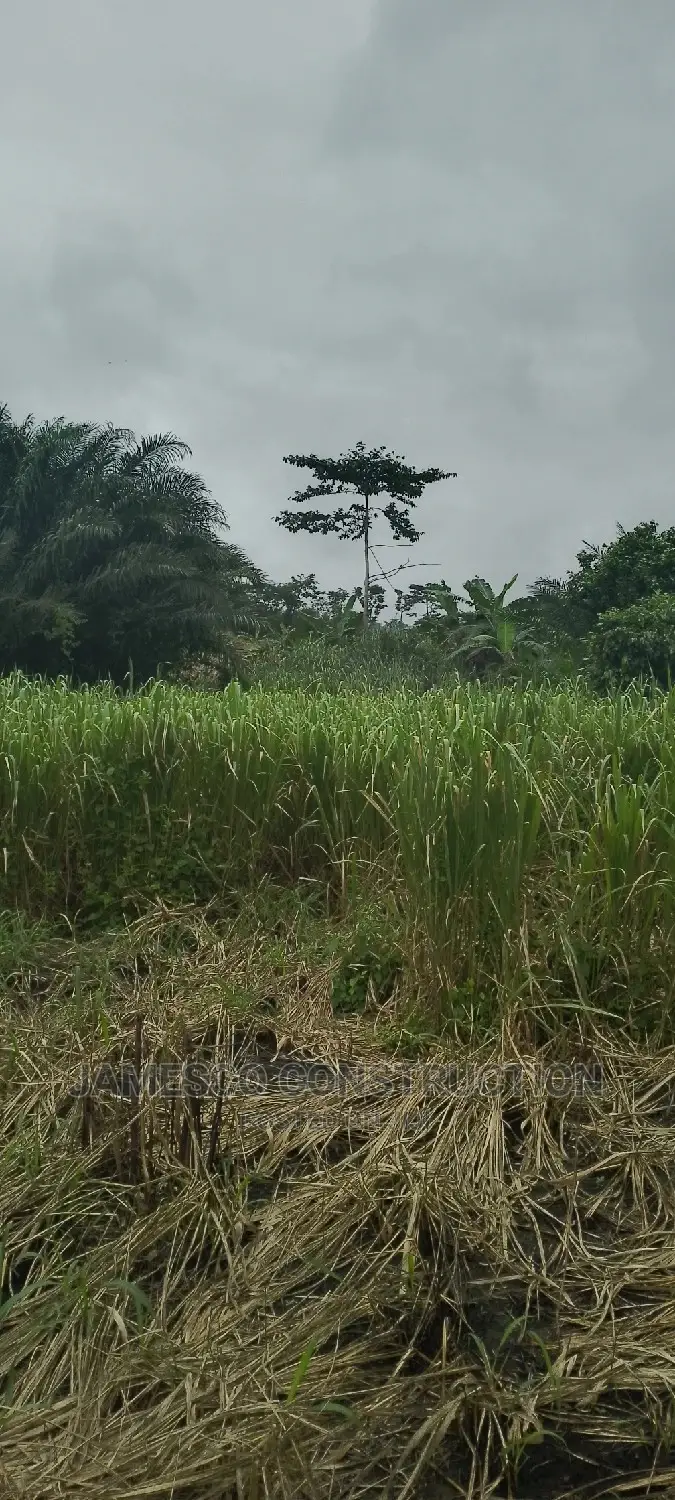 Registered Farmland for Sale