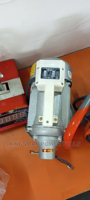 Electric Poker Vibrator