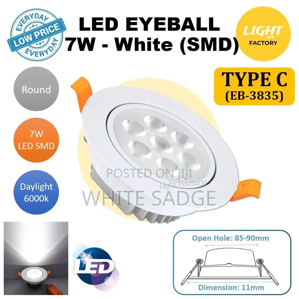 Led Eyeball Light White and Silver Body