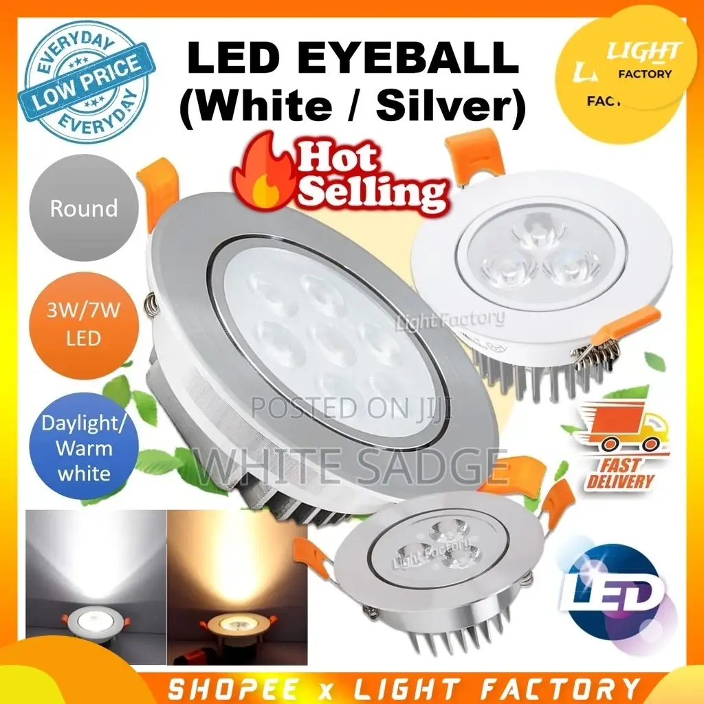 Led Eyeball Light White and Silver Body