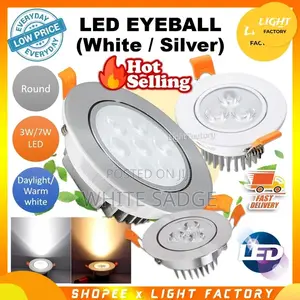Led Eyeball Light White and Silver Body