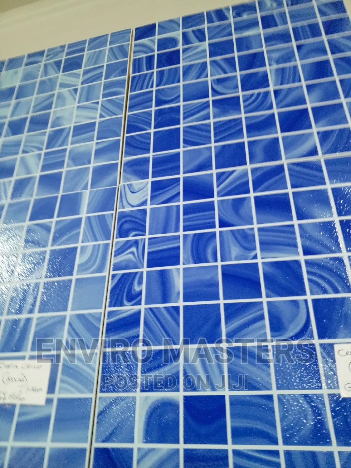 Swimming Pool Masters
