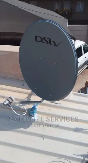 Dish of DS