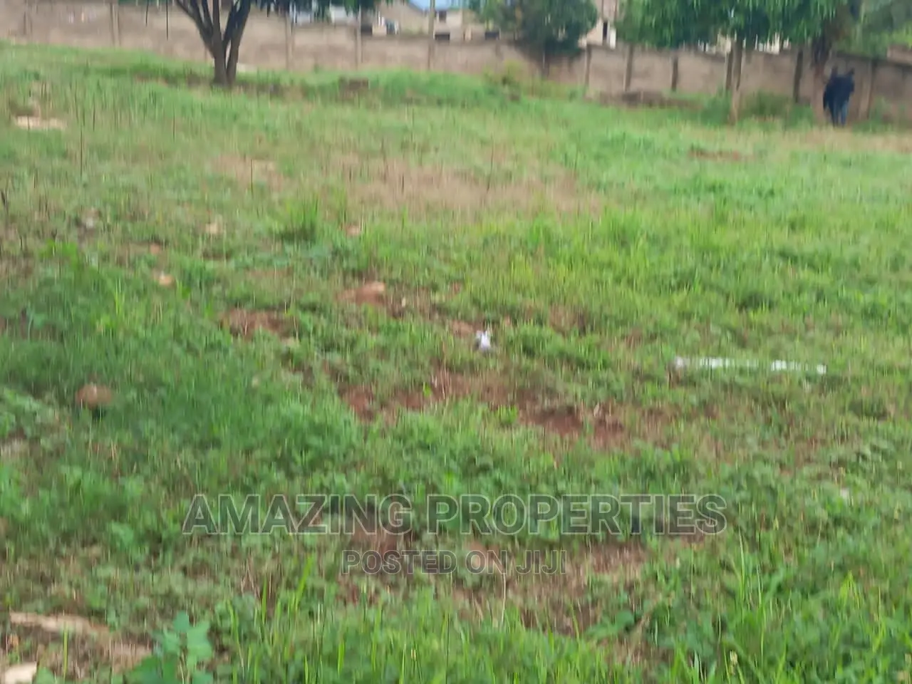 3 Plot of Land for Sale at Gate School Junction Roadside