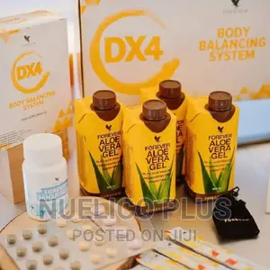 Dx4tmbody Balancing System
