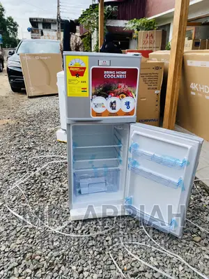 Fast and Effective Zara-14tm Double Door Fridge 