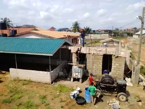 Building Contractor