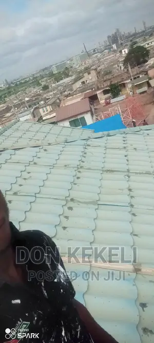 Roof Painting Not Excluded