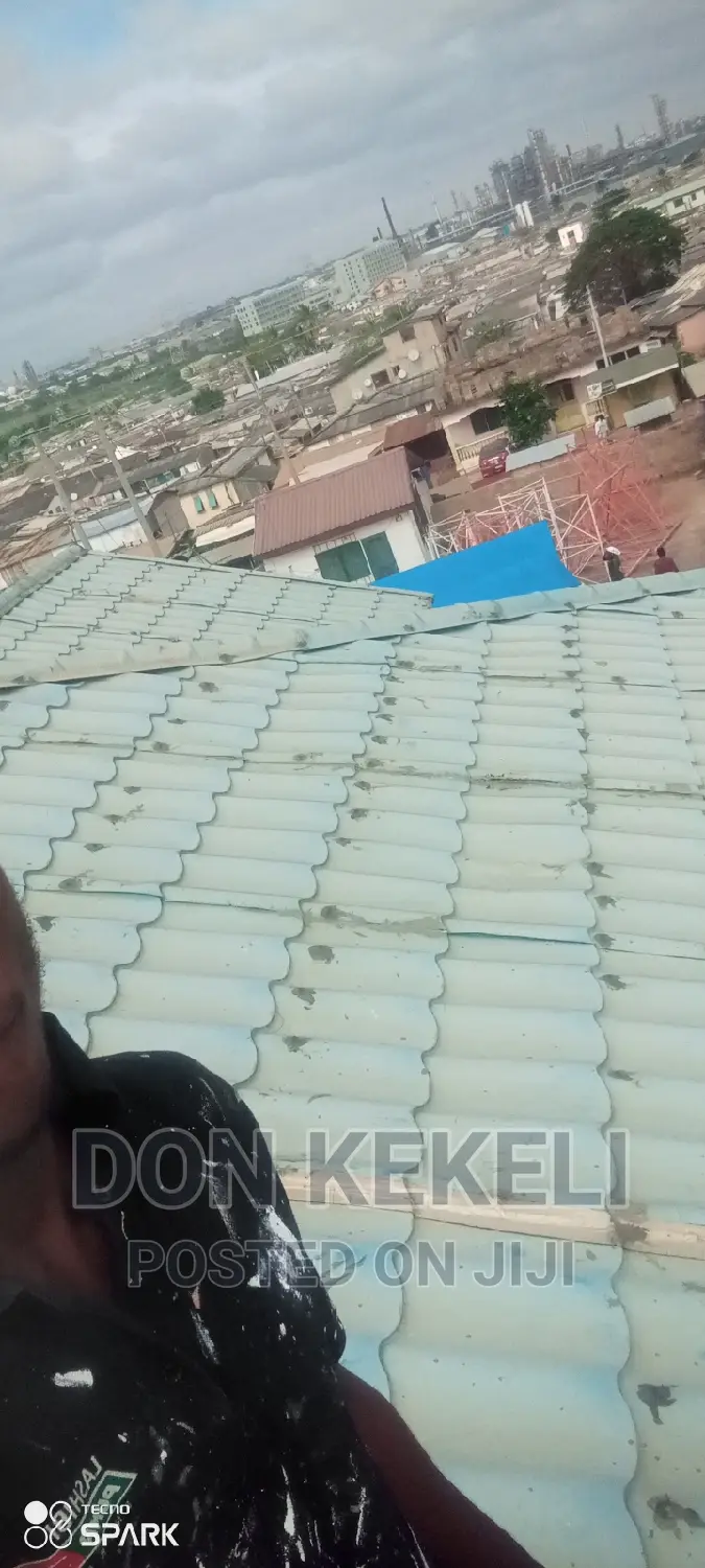 Roof Painting Not Excluded