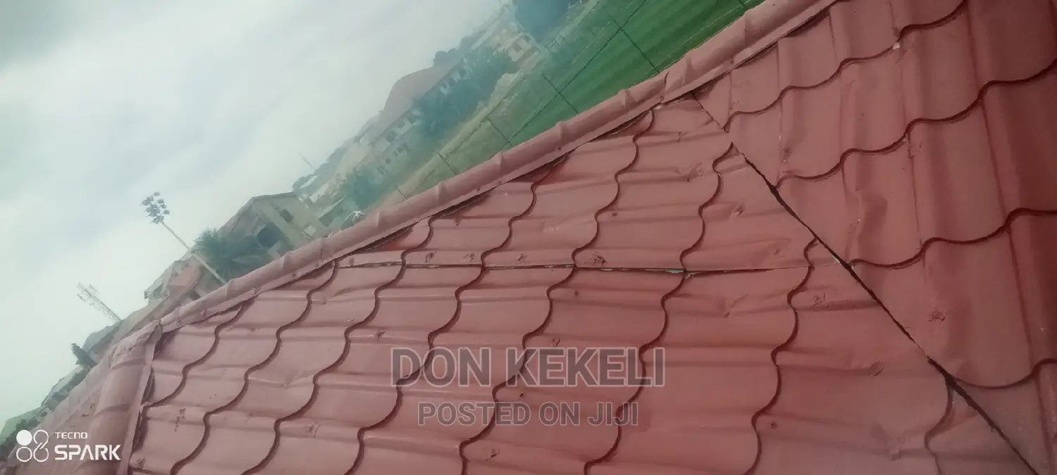 Roof Painting Not Excluded