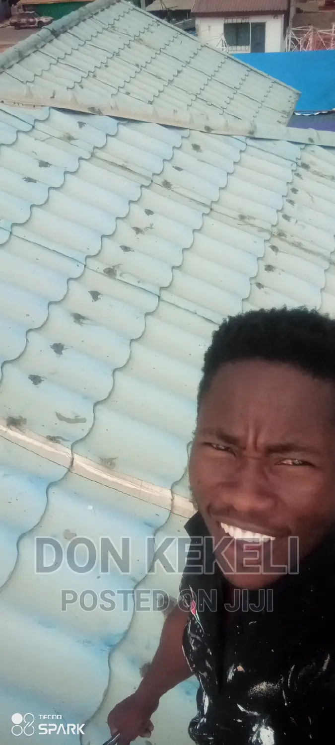 Roof Painting Not Excluded