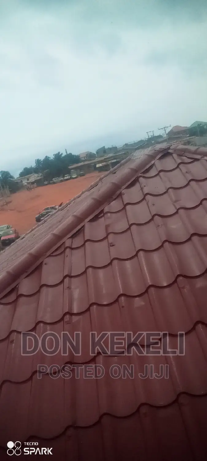 Roof Painting Not Excluded