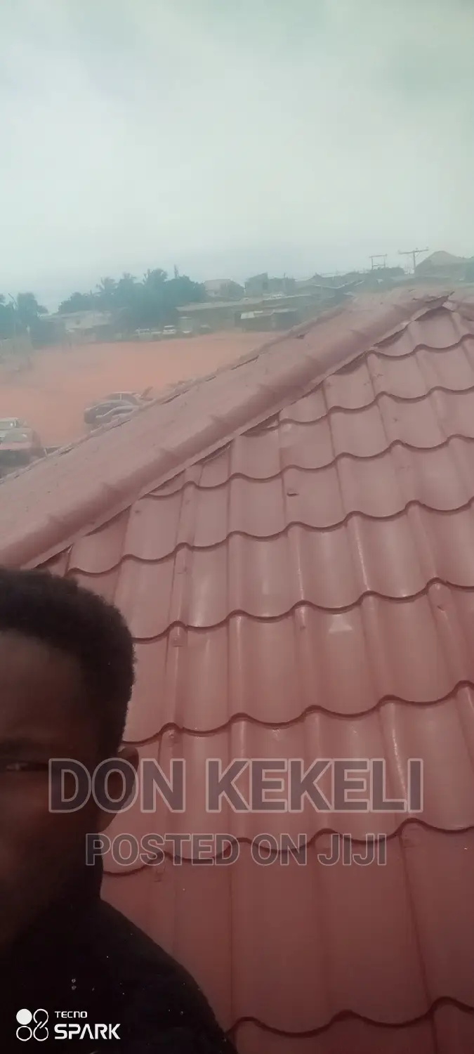 Roof Painting Not Excluded