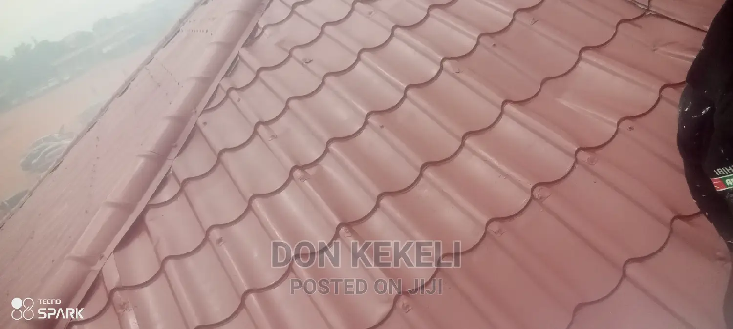 Roof Painting Not Excluded