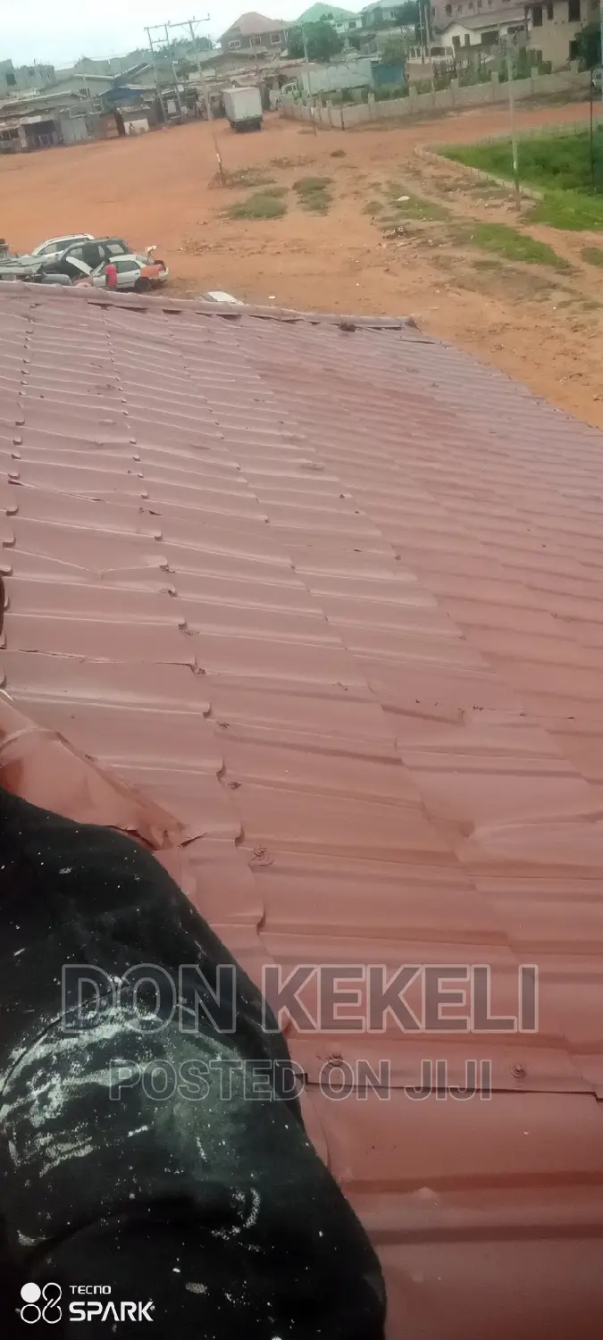 Roof Painting Not Excluded