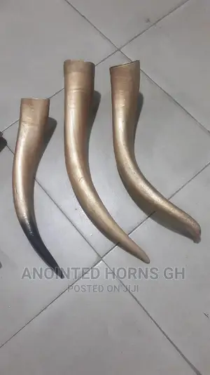 Polished Horn