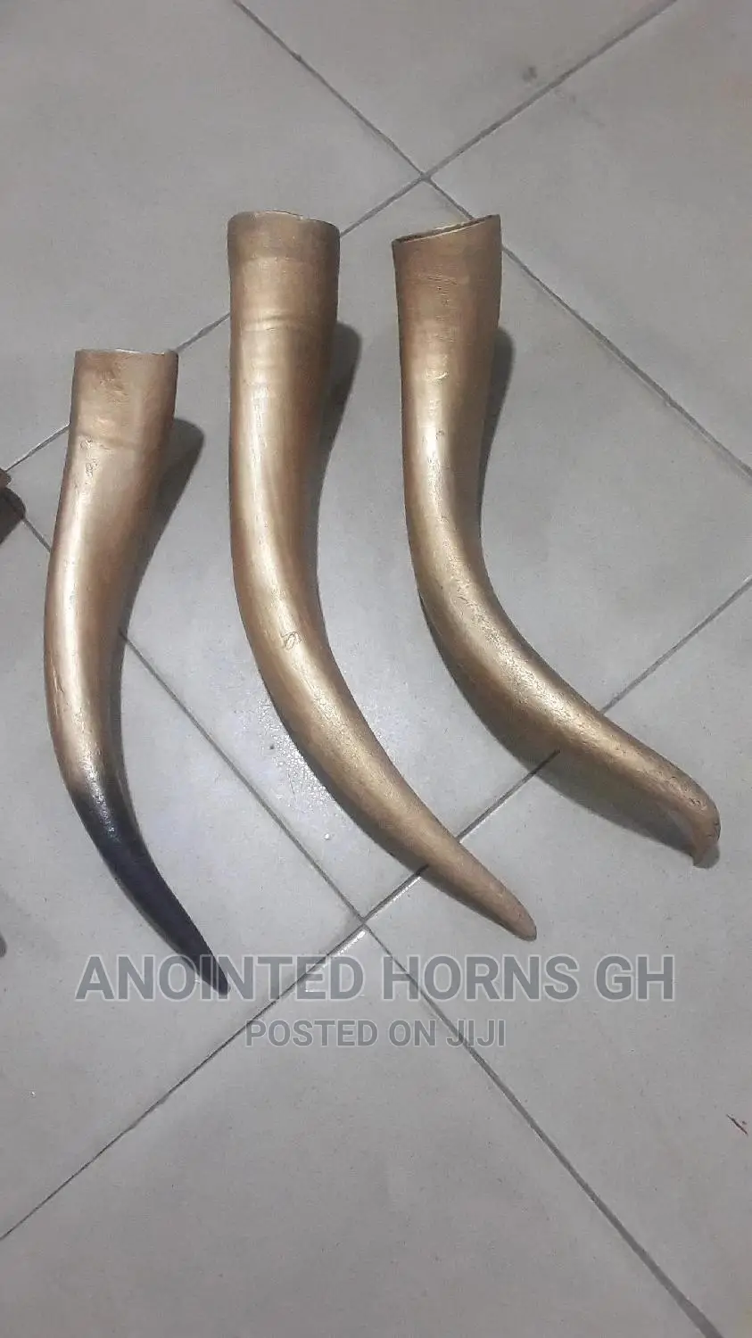 Polished Horn