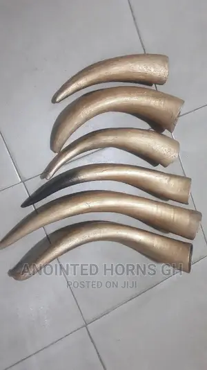 Polished Horn