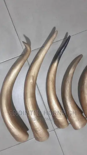 Polished Horn