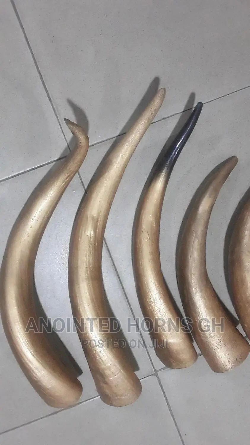 Polished Horn