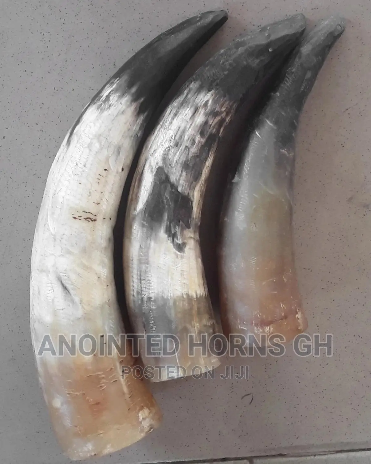 Powerful Horn