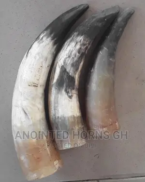 Powerful Horn
