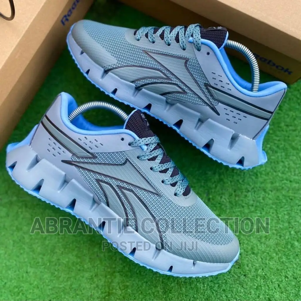 Reebok Zig Dynamica