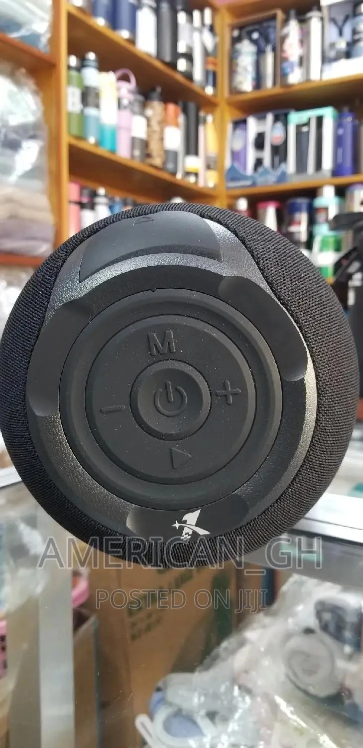 Portable Bass Loudspeaker With (Fm)