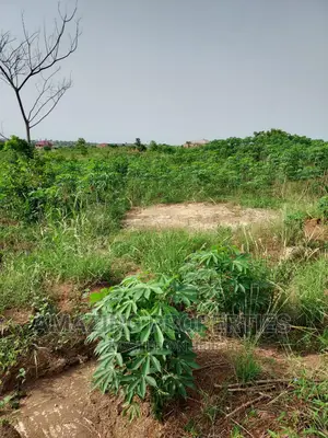 50 Acres of Land for Sale at Juapong