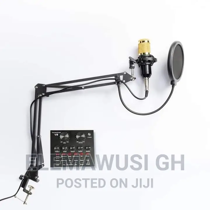 BM 800 Condenser Microphone Set With V8 Sound Card