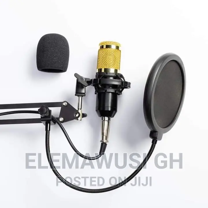 BM 800 Condenser Microphone Set With V8 Sound Card