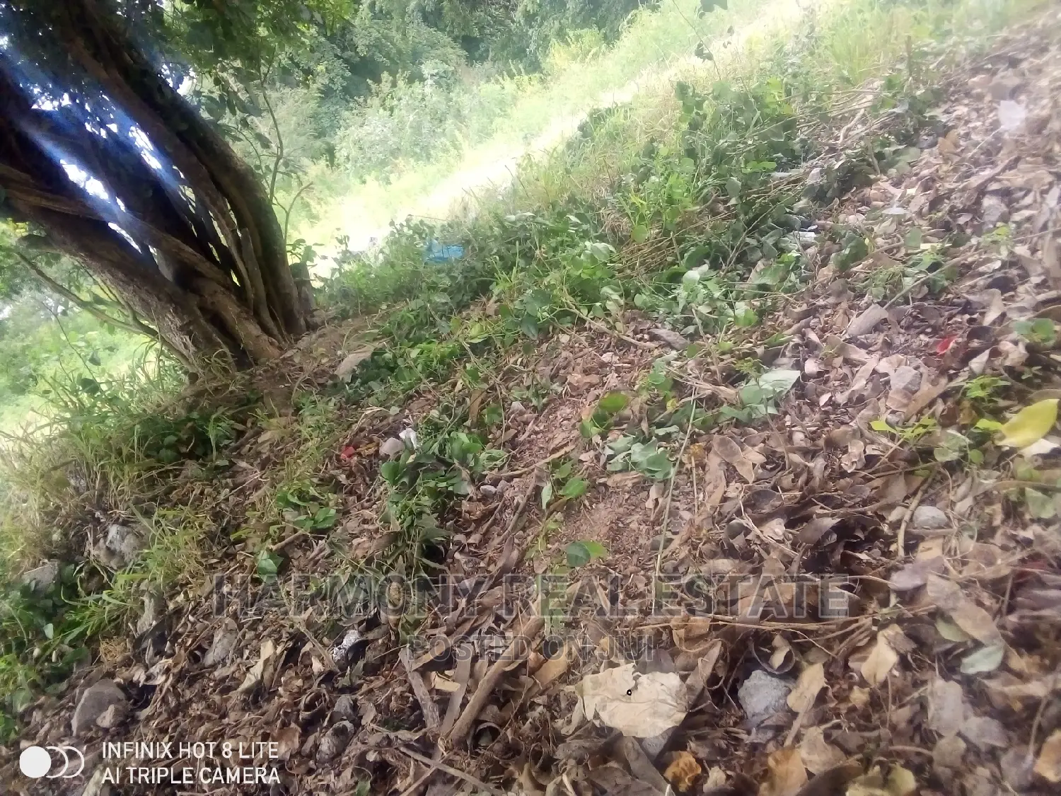 3plots for Sale -Abelenkpe